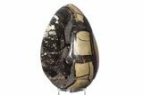 Septarian Dragon Egg Geode - Sparkly Black Crystals #383844-1
